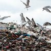 Ивано-Франковск выиграл грант на фильм о мусоре и озеленение свалки