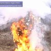 Запорожские спасатели показали как ёлка превращается в зажигалку