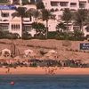 Ради защиты пляжей от акул Египет может разрушить экосистему Красного моря