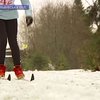 В Тисовце на Кубке Украины по лыжному спорту определились победители