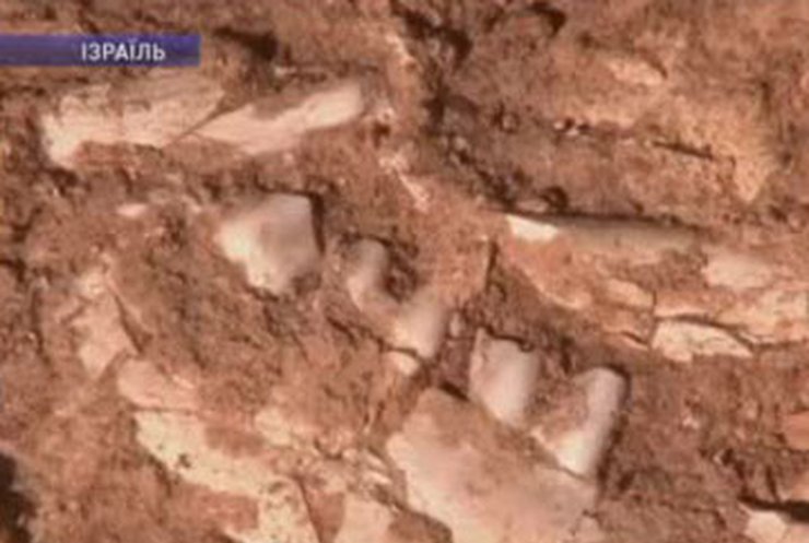 В Израиле обнаружены самые древние останки человека
