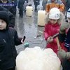 В Мариуполе открылся фестиваль ледовых скульптур