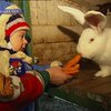 2011 - год кота и кролика
