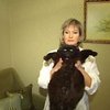 Кролик и кот - два символа следующего года. Кто же из них главнее?