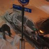 В Нью-Йорке дворников попросили не торопиться с уборкой снега
