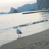 НГ: Россия и Украина создают СП по добыче углеводородов
