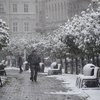Львов замело снегом