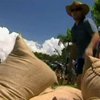 Австралия страдает от наводнения