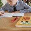 В Лисичанске хотят закрыть единственную украиноязычную школу