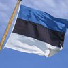 Эстония подумывает создать "киберармию"