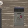 В Германию пришла большая вода