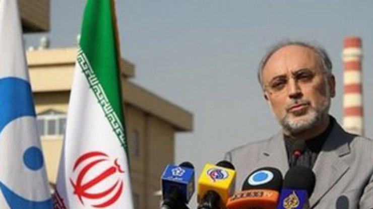 В Иран едут инспекторы ядерных объектов из Египта, Венесуэлы, Кубы и Сирии
