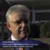 Германия будет строже следить за производством кормов и продуктов питания