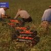 Италия выдала на Украину 1800 разрешений на трудоустройство