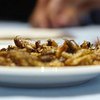 В Нидерландах пишут книгу рецептов еды из насекомых