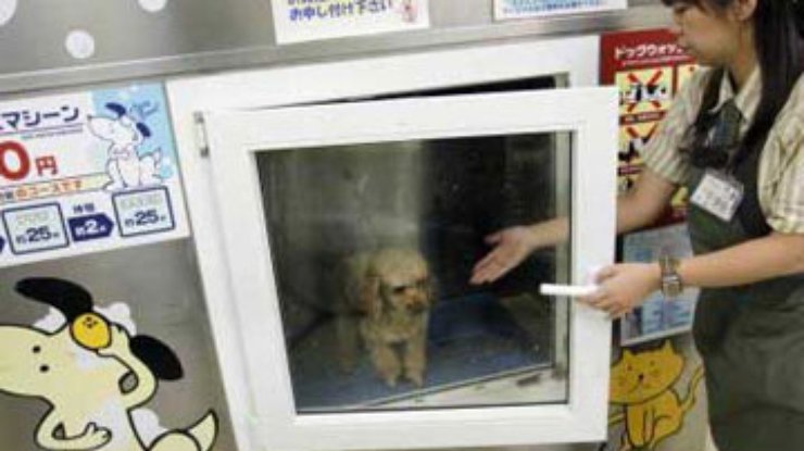 Японцы изобрели стиральную машину для домашних животных