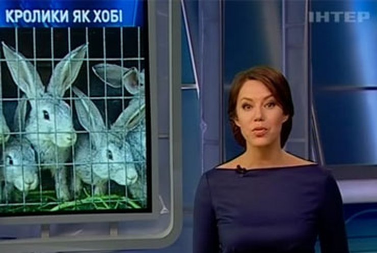 Олимпийский комитет наградил лучшую спортсменку 2010 года