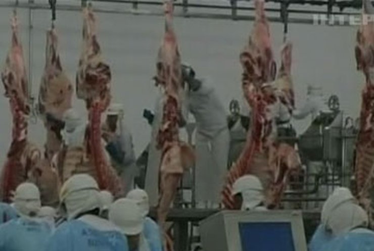 Кабмин установит жесткий контроль над импортерами мяса
