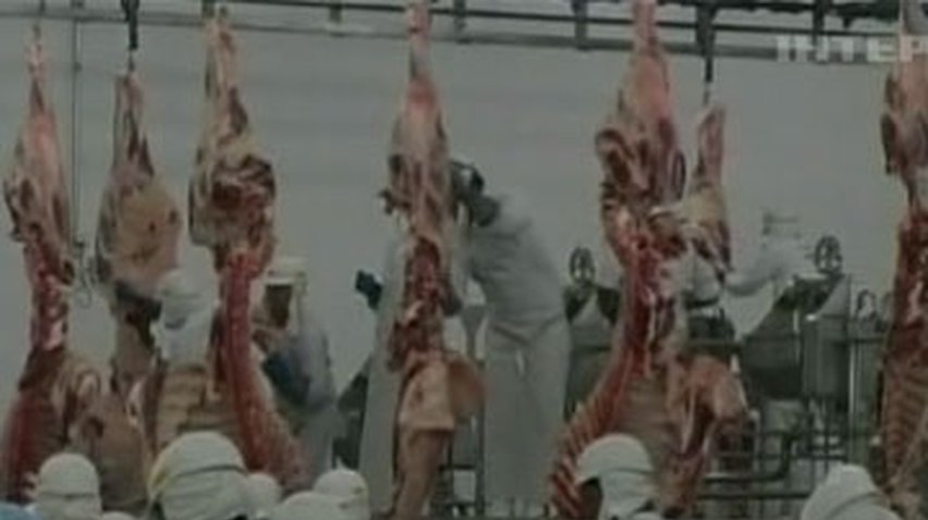 Кабмин установит жесткий контроль над импортерами мяса