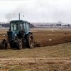 Тигипко выступает за создание полного земельного кадастра