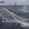 Экологи заставили японцев приостановить охоту на китов