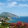 В Крыму прошли первые земельные торги в автономии