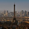 В центре Парижа крыс в четыре раза больше чем людей