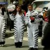 Боливийские знаменитости вышли на улицы в костюмах зебр