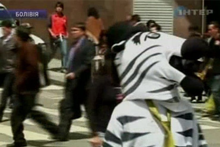 В Боливии дорожное движение вышли регулировать зебры