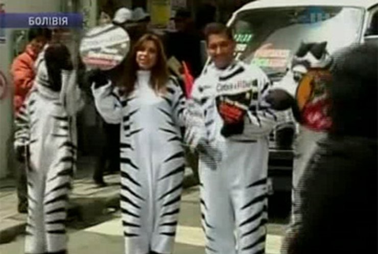 Боливийские знаменитости вышли на улицы в костюмах зебр