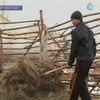 Киргизы переходят на биогаз