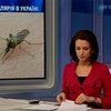 В Николаеве зафиксирован случай тропической малярии