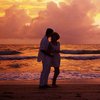 Американские ученые утверждают, что раскрыли "тайну любви"