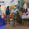 Рынки Гоа манят к себе туристов со всей планеты