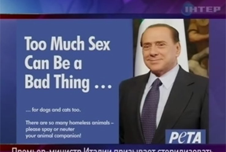 Берлускони стал лицом кампании за стерилизацию котов и собак