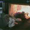 В Харькове СБУ уничтожила 30 киллограммов наркотиков