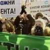 Киевские студенты вышли митинговать на улицы