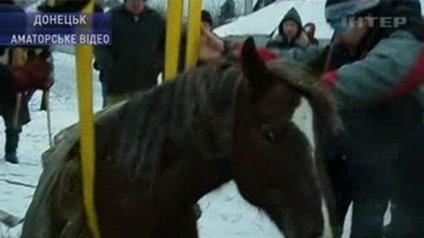 В Донецке МЧС-ники спасли лошадь из колодца