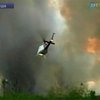 Во Флориде разгорелся лесной пожар