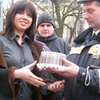 Киевская ГАИ будет дарить торты женщинам-водителям