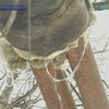 Днепропетровчанин подал в суд на местное "Теплоэнерго"