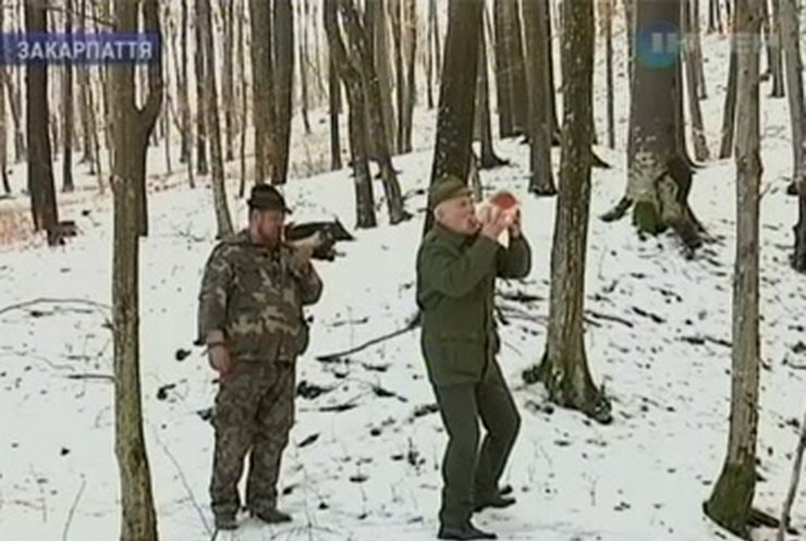 Закарпатские лесники нашли общий язык с оленями