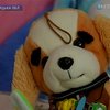 Мать-одиночка с ребенком-инвалидом вынуждена жить в больнице