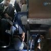 В салоне самолета из Сан-Франциско летел пингвин