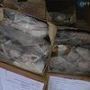 В Одессе СБУ остановила груз в 76 тонн испорченной рыбы