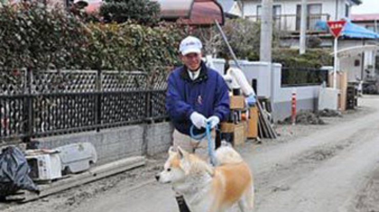 В Японии спасли собаку, дрейфовавшую в море на крыше дома