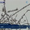 В Китае снег замел весеннюю зелень
