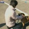 В Японии нашелся хозяин спасенной в море собаки