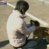В Японии пес чудом спасся после цунами
