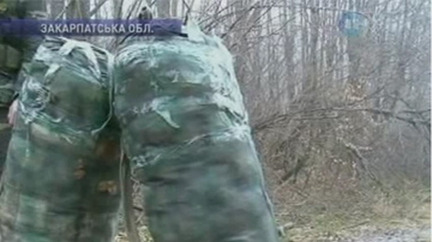 На украино-словацкой границе задержан груз конопли